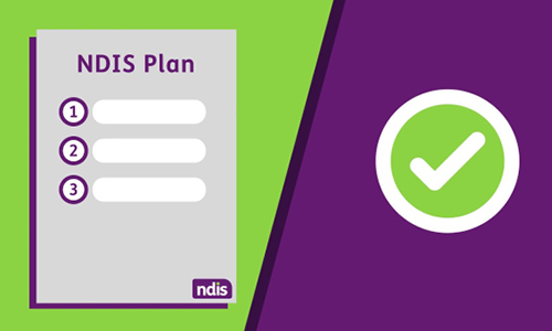 NDIS Plan Review